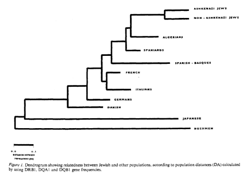 Ashkenazi Jews are from the Middle East