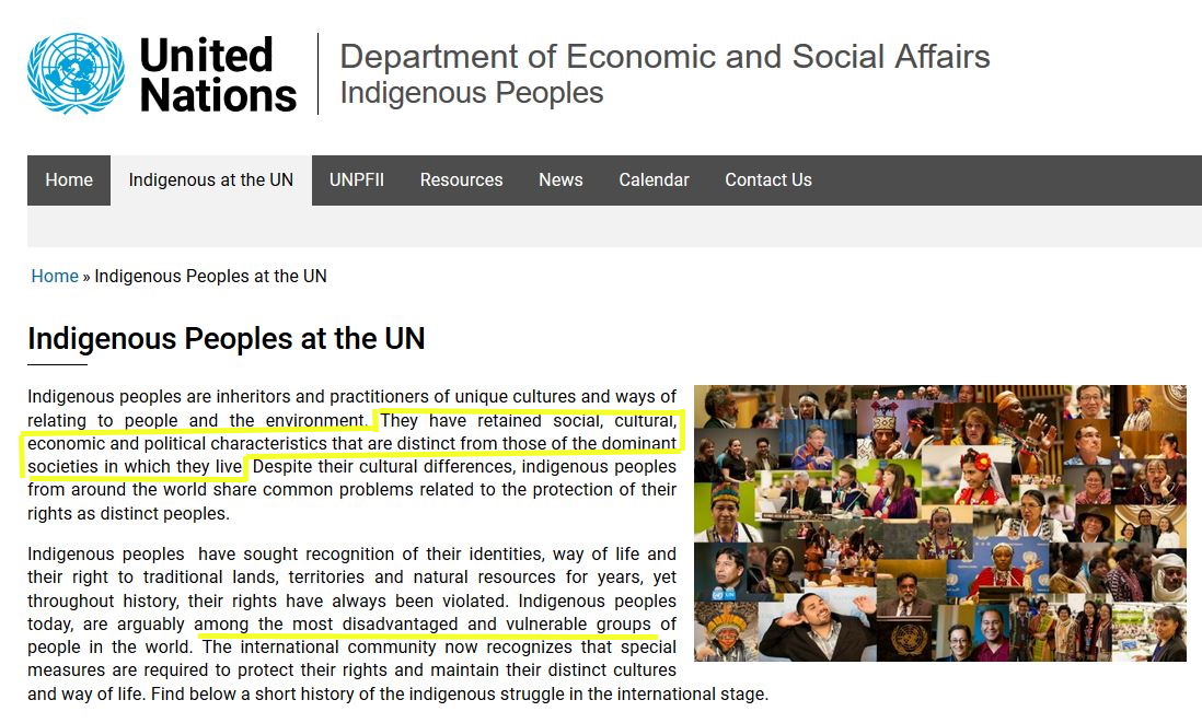 UN describes indigenous peoples as subjugated by a dominating culture
