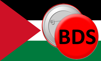 Palestinian flag - 9 reasons I am pro-BDS
