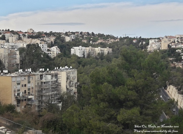 Haifa's Fires - area untouched by fire