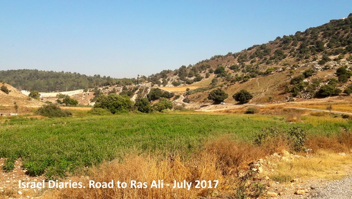 Road to Ras Ali