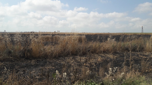 Burned out fields near Gaza border