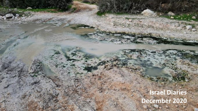 Polluted stream flowing from an Arab village in Samaria