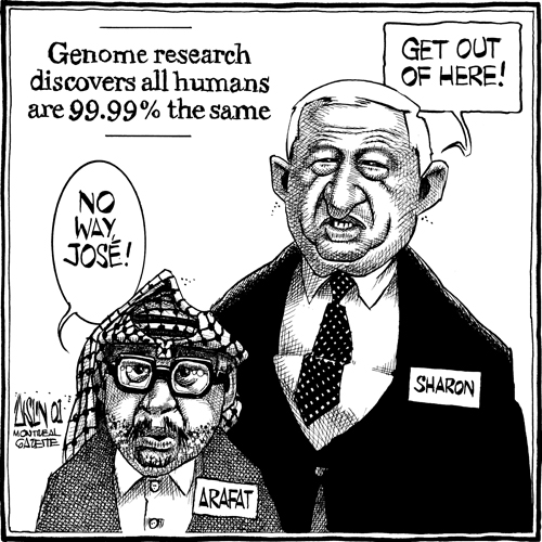 Aislin cartoon showing Arafat and Sharon not liking results of genome research that shows that all humans are 99.99% identical.