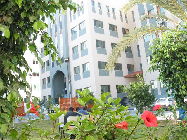 BDS and Palestinian universities