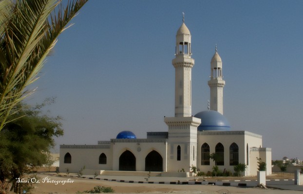 Ibrahim Yagi Mosque