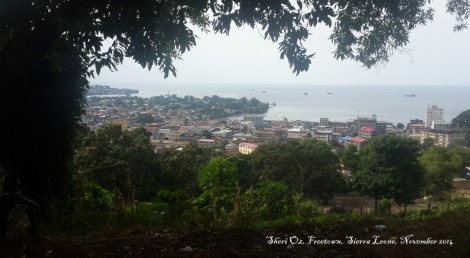 Freetown Vista From Parliament Building 